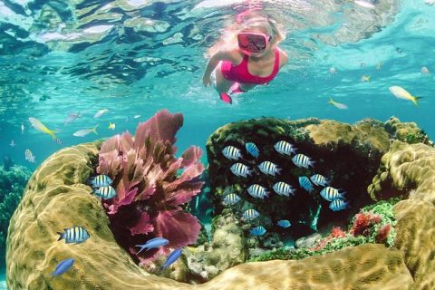 Key Largo Snorkeling Tour