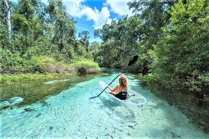Glass Bottom Guided Kayak Eco Tour in Rock Springs