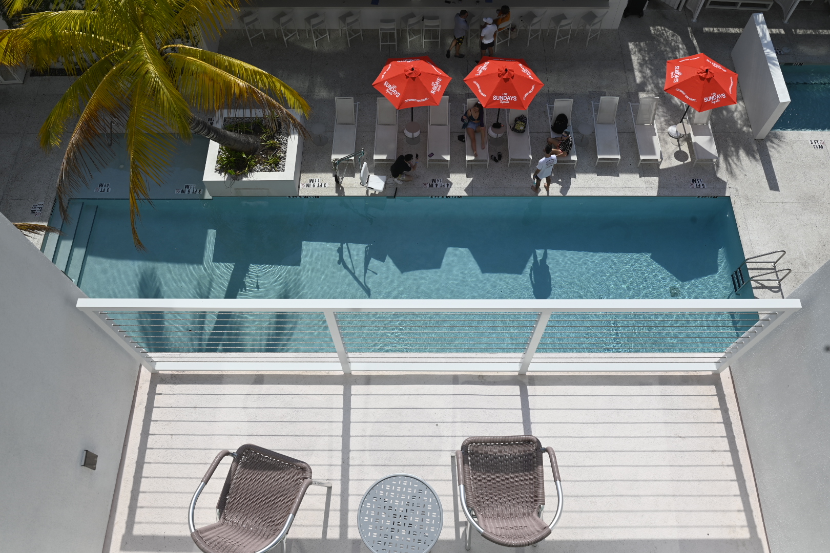 The Sarasota Modern Hotel Downtown Sarasota