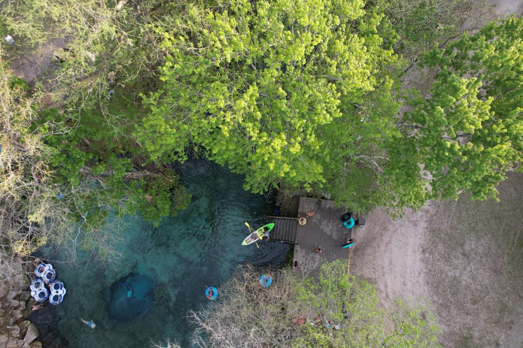 Best Five Ways To Experience Florida’s Wildlife Best Five Ways To Experience Florida’s Wildlife