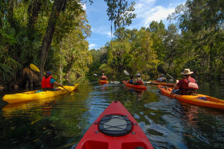 Hidden Gems: Exploring Central Florida's Lesser-Known Attractions
