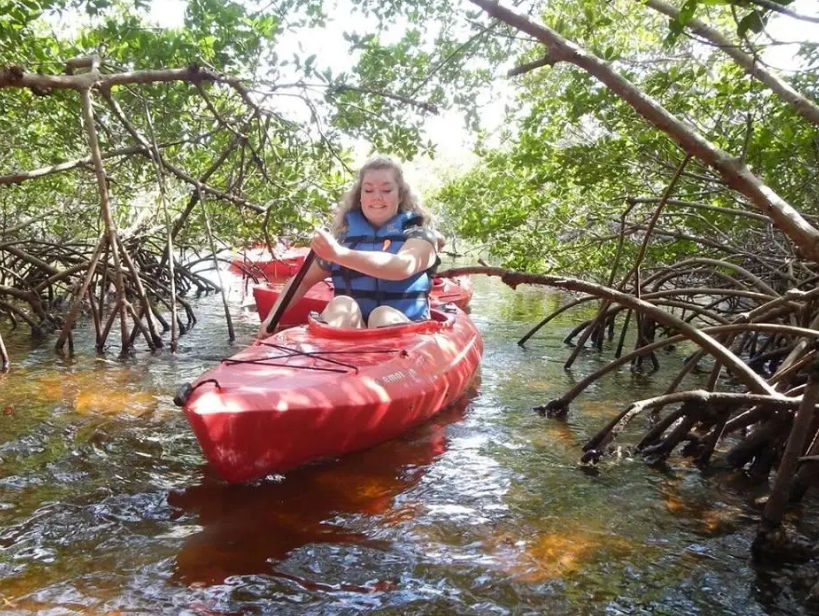 Cape Coral Mangrove Maze Kayak Tour Cape Coral Mangrove Maze Kayak Tour