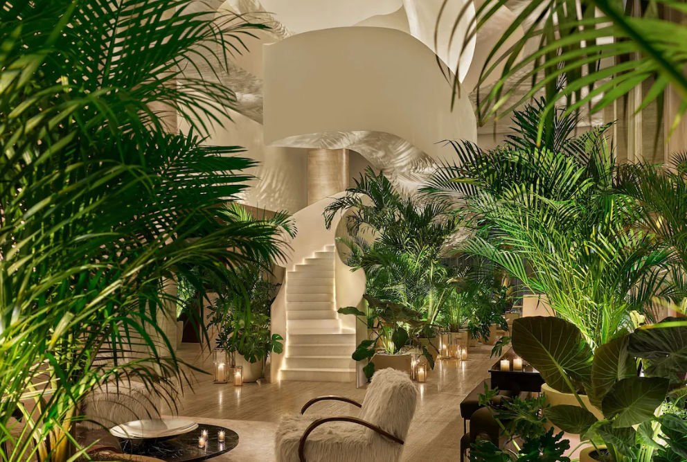 Downtown Tampa Luxury Hotel | The Tampa EDITION Downtown Tampa Luxury Hotel | The Tampa EDITION
