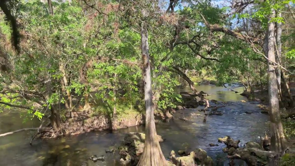 Hidden Gems Near Tampa Bay Worth the Detour