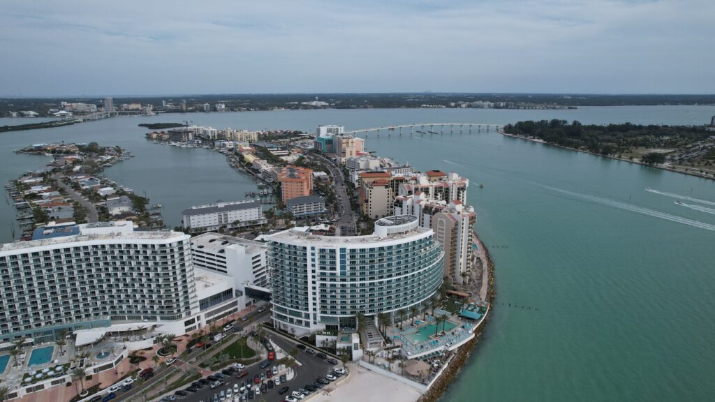 Best Clearwater Dolphin Tours & Boat Tours (2026): A Local’s Guide