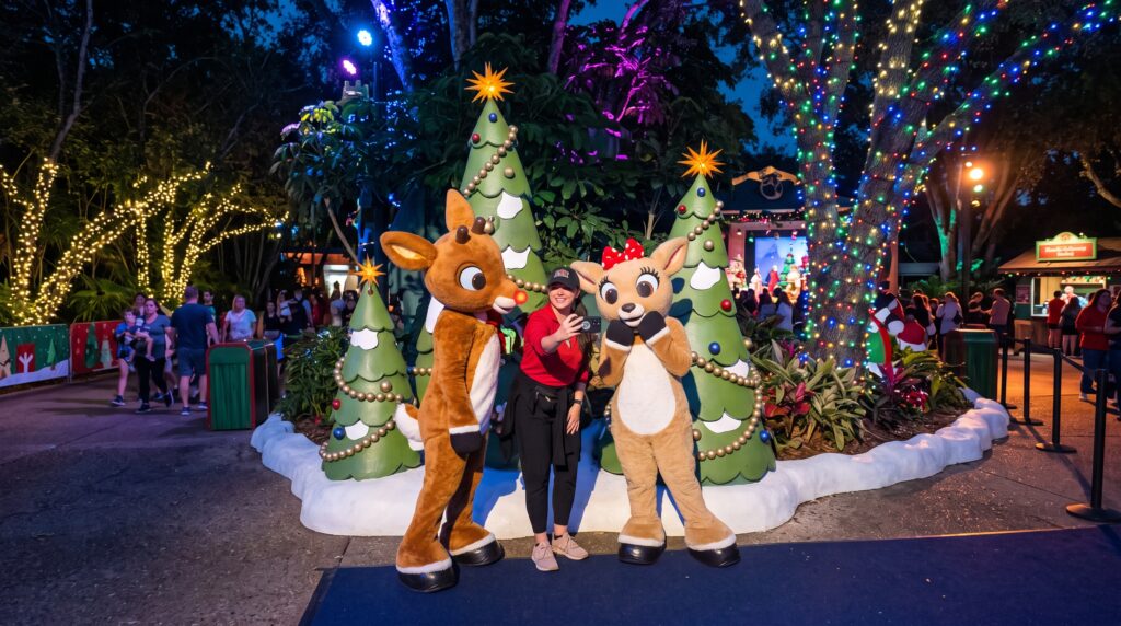 Christmas in Tampa Bay 2026: Lights, Events & Things to Do