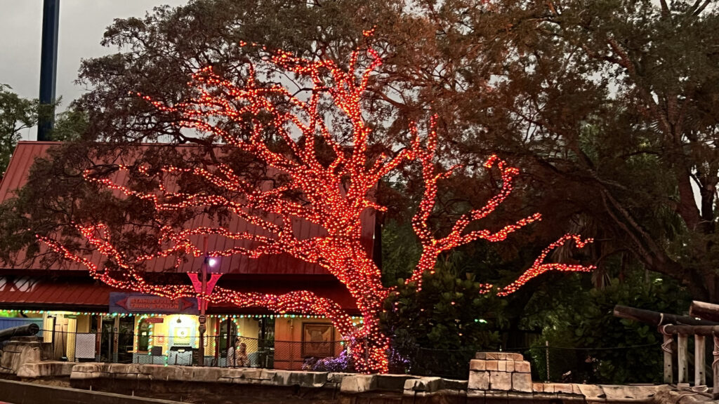 Christmas in Florida 2026: Best Lights, Events & Things to Do