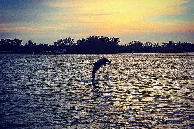 Salty Dolphin Tours Anna Maria Island: Sunset Dolphin Cruise Reviews, Prices & What to Expect Salty Dolphin Tours Anna Maria Island: Sunset Dolphin Cruise Reviews, Prices & What to Expect