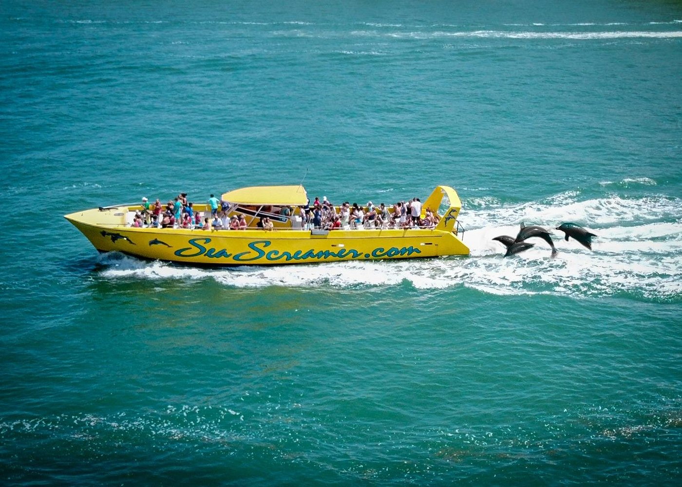 Sea Screamer Clearwater Dolphin Speedboat Tour: Reviews, Prices & What to Expect Sea Screamer Clearwater Dolphin Speedboat Tour: Reviews, Prices & What to Expect