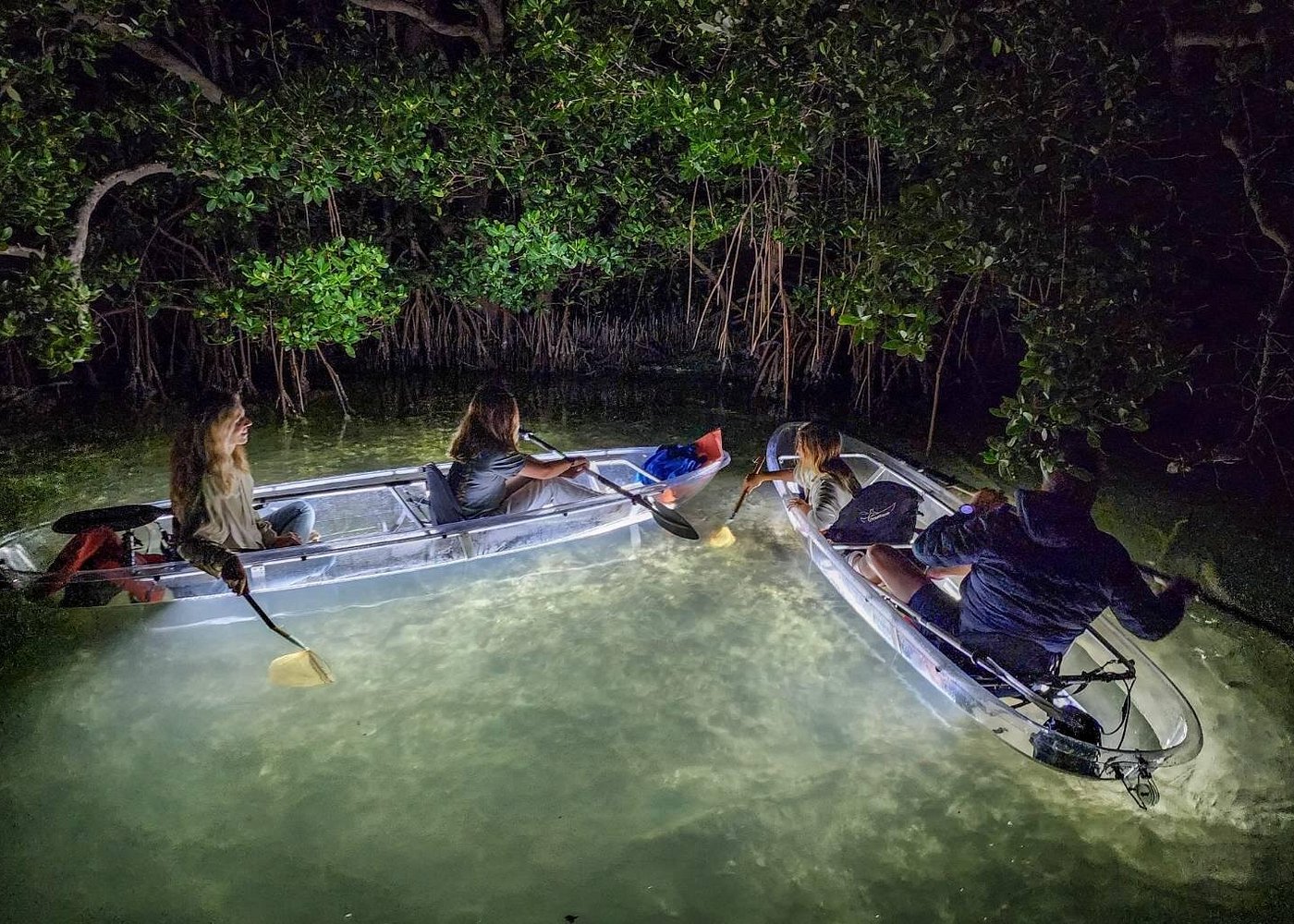 LED Clear Kayak Night Tour Anna Maria Island: Reviews, Prices & What to Expect