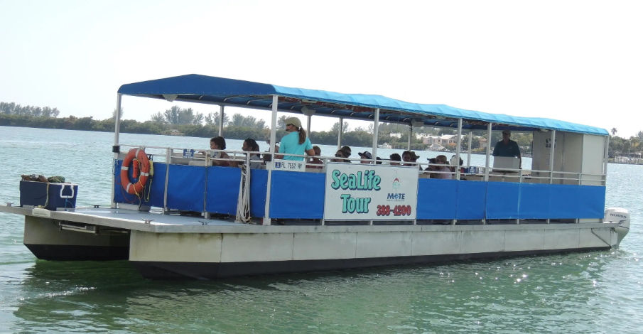 Sea Life Encounter Cruise Sarasota (Sarasota Bay Explorers): Prices & What to Expect Sea Life Encounter Cruise Sarasota (Sarasota Bay Explorers): Prices & What to Expect